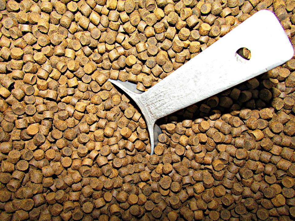 The mill is drawn three times the cages, so feed sits ahead of the crop.